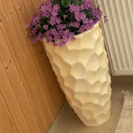 Janka Guest house Brno