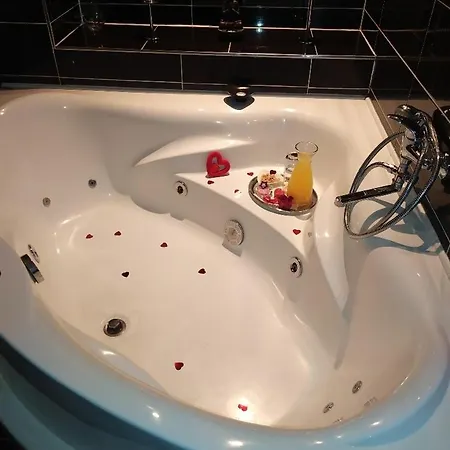 詹卡家庭旅馆 布尔诺