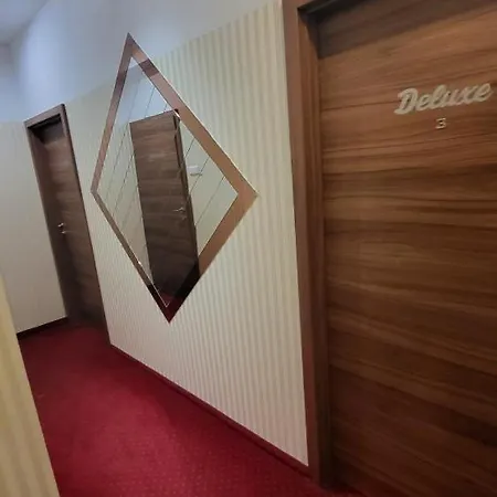 詹卡家庭旅馆 布尔诺