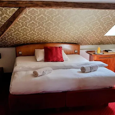 招待所 詹卡家庭旅馆 布尔诺