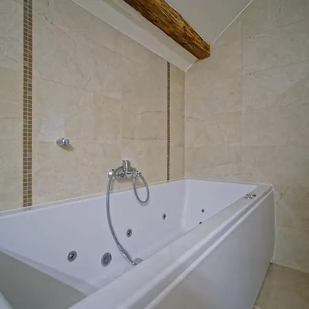 詹卡家庭旅馆 3* 布尔诺