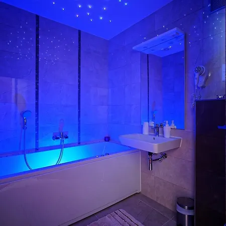 詹卡家庭旅馆 3* 布尔诺